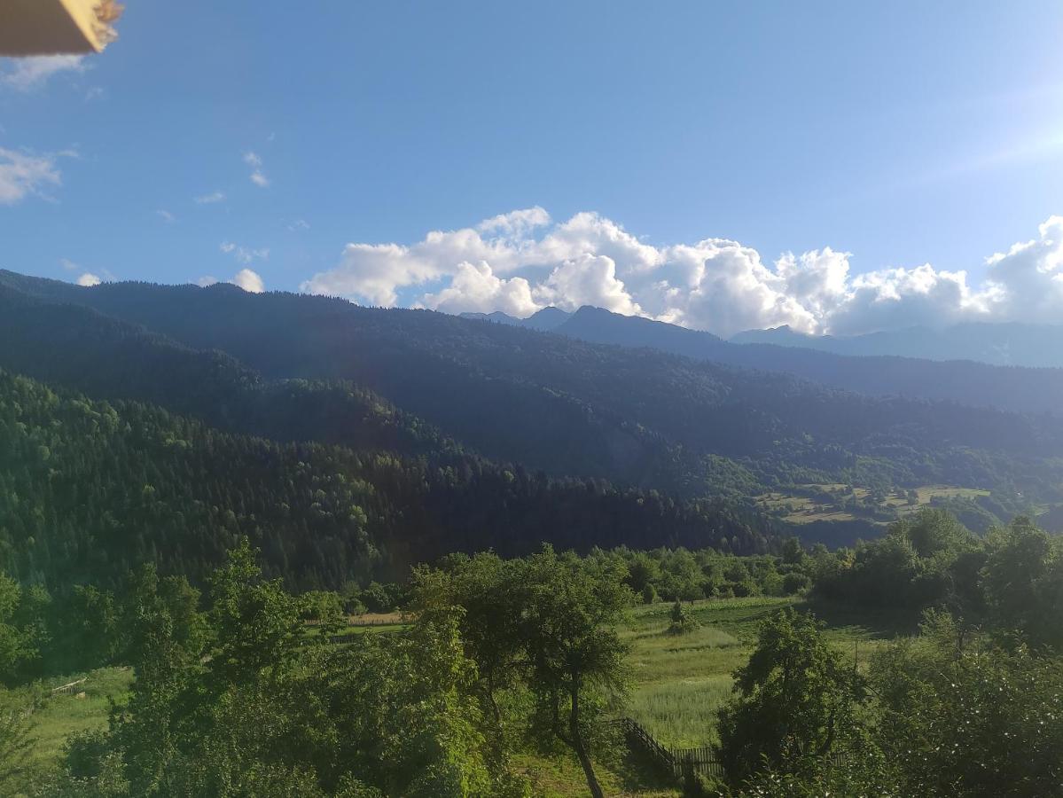 Ecohouse Svaneti Mestia Esterno foto