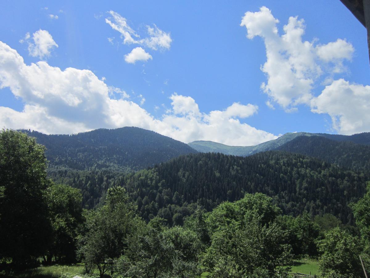 Ecohouse Svaneti Mestia Esterno foto