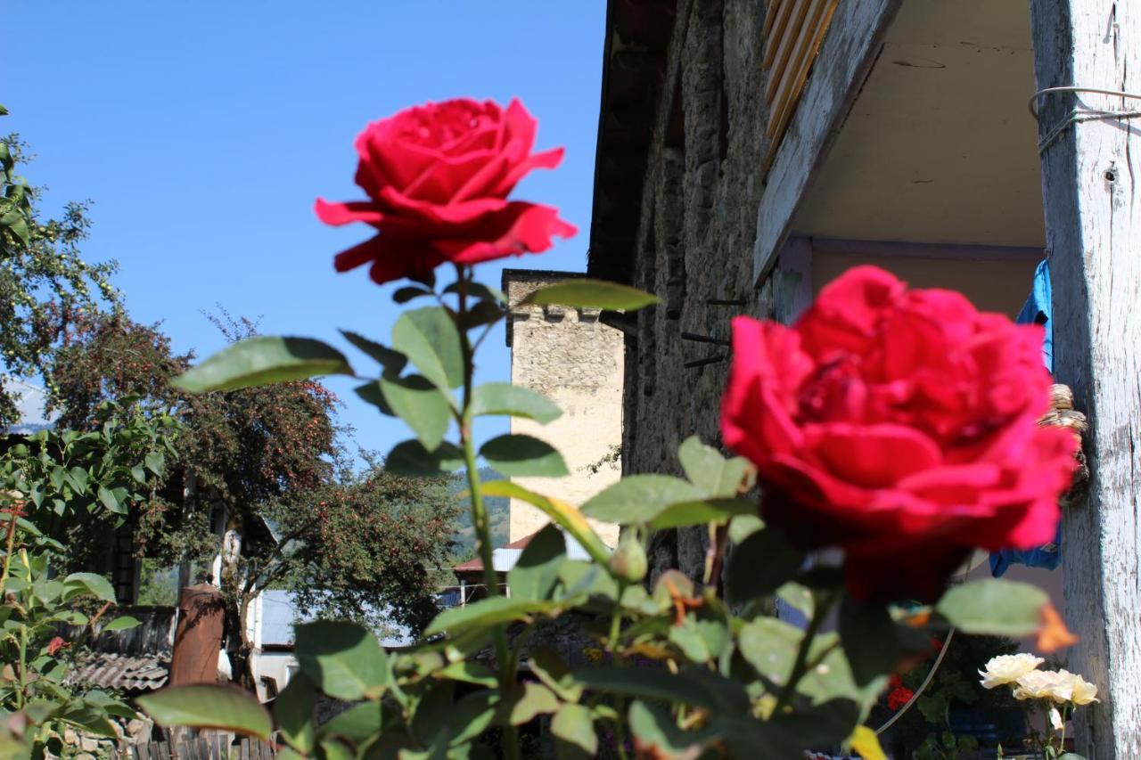 Ecohouse Svaneti Mestia Esterno foto