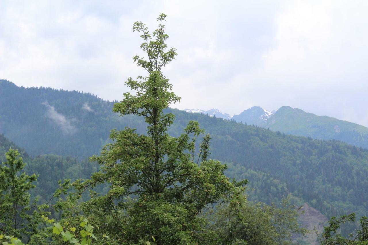 Ecohouse Svaneti Mestia Esterno foto